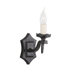 Настенный светильник Elstead Lighting Rectory RY1B-BLACK цена и информация | Настенные светильники | hansapost.ee