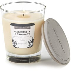 Candle-Lite ароматическая свеча с крышечкой Oakmoss & Bergamot, 255 г. цена и информация | Свечи, подсвечники | hansapost.ee