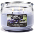 Candle-lite ароматическая свеча Everyday Fresh Lavender Breeze