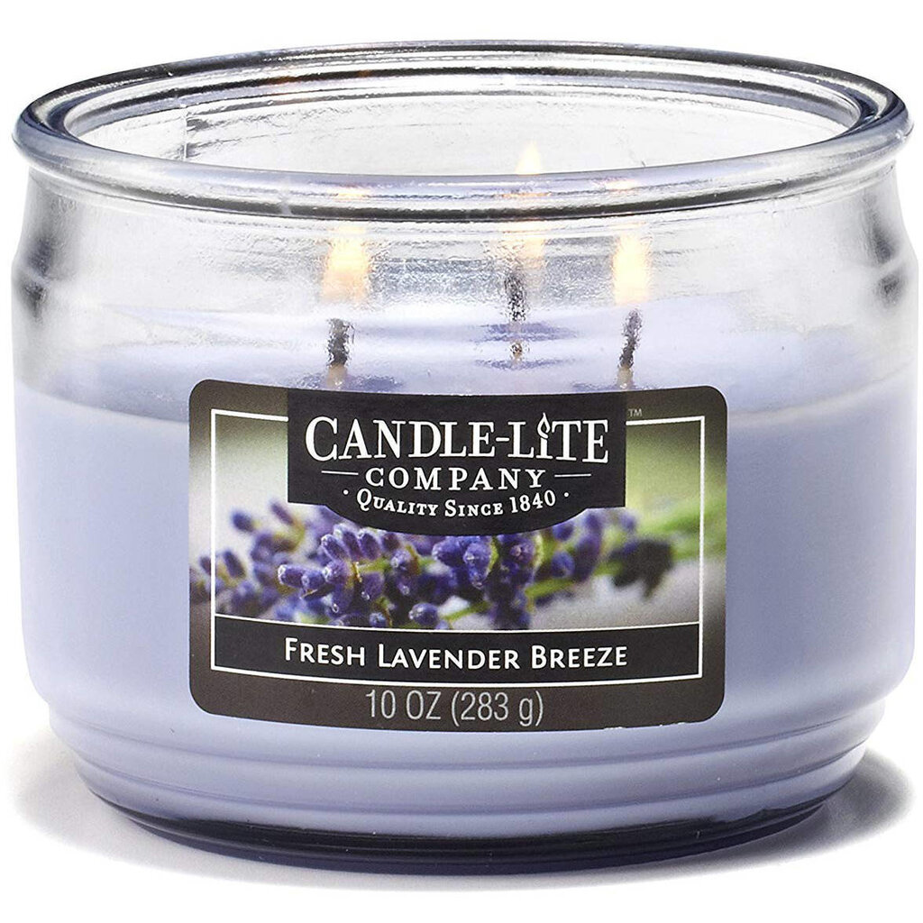 Lõhnaküünal Candle-lite Everyday Fresh Lavender Breeze цена и информация | Küünlad, küünlajalad | hansapost.ee