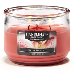 Lõhnaküünal Candle-lite Everyday Sweet Pear Lily hind ja info | Küünlad, küünlajalad | hansapost.ee
