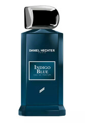 Парфюмированная вода Daniel Hechter Collection Couture Indigo Blue EDP, 100 мл цена и информация | Духи для Него | hansapost.ee