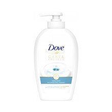 Жидкое мыло Dove Liquid soap Care & Protect, 250 мл цена и информация | Мыло | hansapost.ee