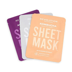 Combination Skin Sheet Mask nahamaskid kombineeritud nahale Biolagunev цена и информация | Маски для лица, патчи для глаз | hansapost.ee