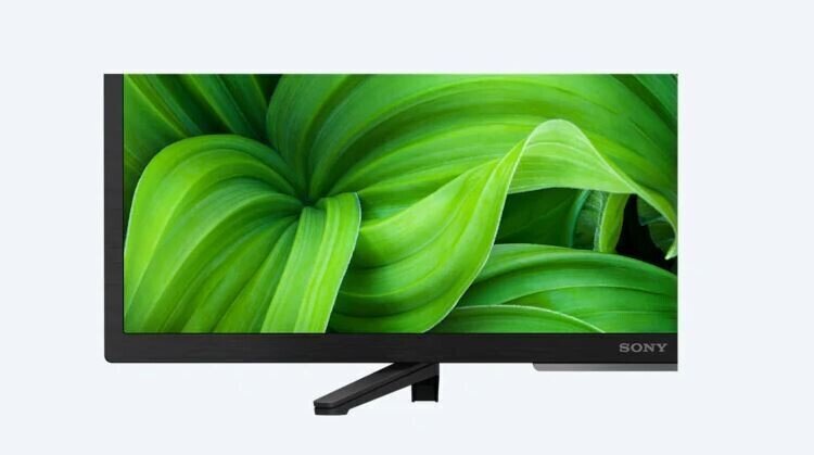 Sony Android LED TV KD32W800P1AEP цена и информация | Televiisorid | hansapost.ee