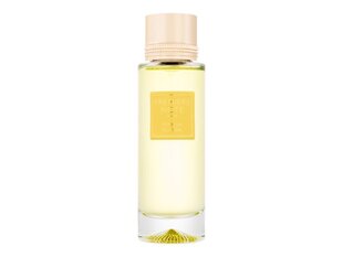 Parfüümvesi meestele ja naistele Premiere Note Paris Mimosa Austral EDP unisex, 100ml hind ja info | Parfüümid naistele | hansapost.ee