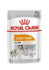 Royal Canin CCN Coat Care märgtoit koertele, 12x85g hind ja info | Koerakonservid | hansapost.ee