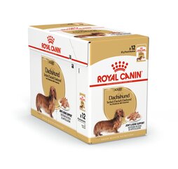 Royal Canin Dachshund Adult märgtoit koertele, 12x85g hind ja info | Koerakonservid | hansapost.ee