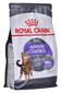 Royal Canin Appetite Control kuivtoit kassidele, 0,4 kg hind ja info | Kassi kuivtoit ja kassikrõbinad | hansapost.ee