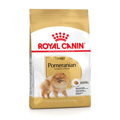 Royal Canin Pomeranian Adult kuivtoit pommeri spitsile, 500 g hind ja info | Koerte kuivtoit ja krõbinad | hansapost.ee
