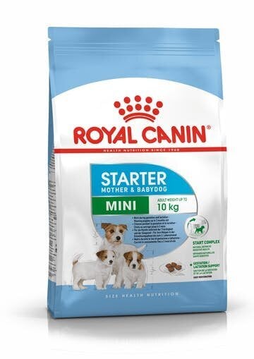 Royal Canin Mini Starter kuivtoit kutsikatele, 8 kg цена и информация | Koerte kuivtoit ja krõbinad | hansapost.ee