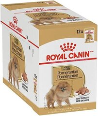 Royal Canin Pomeranian märgtoit Pommeri koertele, 12x85g hind ja info | Koerakonservid | hansapost.ee