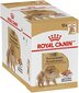 Royal Canin Pomeranian märgtoit Pommeri koertele, 12x85g цена и информация | Koerakonservid | hansapost.ee