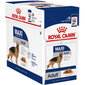 Royal Canin Maxi Adult konservid 140 g x 10 tk. цена и информация | Koerakonservid | hansapost.ee