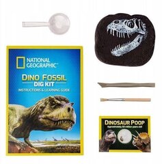 Dinosauruste fossiilide kaevamise komplekt National Geographic hind ja info | Mänguasjad poistele | hansapost.ee