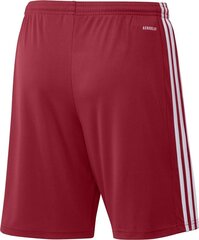 Lühikesed püksid Adidas Squadra 21, punane hind ja info | Adidas Jalgpall | hansapost.ee