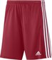 Lühikesed püksid Adidas Squadra 21, punane цена и информация | Jalgpalli varustus ja riided | hansapost.ee