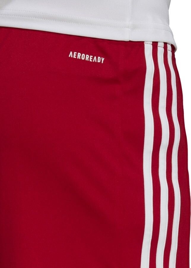 Lühikesed püksid Adidas Squadra 21, punane hind ja info | Jalgpalli varustus ja riided | hansapost.ee