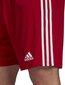 Lühikesed püksid Adidas Squadra 21, punane цена и информация | Jalgpalli varustus ja riided | hansapost.ee
