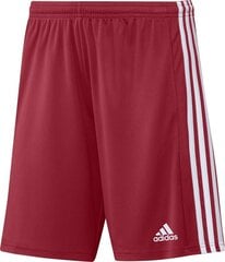 Lühikesed püksid Adidas Squadra 21, punane hind ja info | Adidas Jalgpall | hansapost.ee