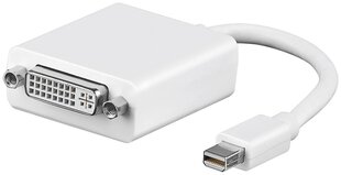 Goobay Mini DisplayPort Thunderbolt/DVI-D цена и информация | Goobay Компьютерная техника | hansapost.ee