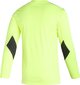Väravavahi dressipluus Adidas Squadra 21 M GN5795, roheline hind ja info | Jalgpalli varustus ja riided | hansapost.ee