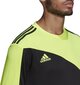 Väravavahi dressipluus Adidas Squadra 21 M GN5795, roheline цена и информация | Jalgpalli varustus ja riided | hansapost.ee