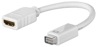 Мини DVI-HDMI, 0,1 м цена и информация | Адаптеры и USB-hub | hansapost.ee