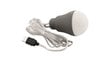 Outwell Epsilon Bulb LED matkavalgusti hind ja info | Pealambid, matkalambid | hansapost.ee