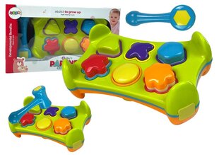 Lean toys kahepoolne arendav sorteerija цена и информация | Развивающие игрушки для детей | hansapost.ee