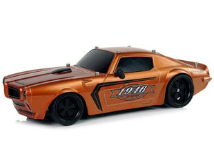 Lean toys Спортивная машина R/C 1:18 Коричневая цена и информация | Игрушки для мальчиков | hansapost.ee