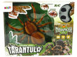 Lean toys Kaugjuhtimispuldiga Spider Tarantula Infrared Brown R/C цена и информация | Arendavad laste mänguasjad | hansapost.ee