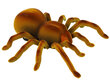 Lean toys Kaugjuhtimispuldiga Spider Tarantula Infrared Brown R/C цена и информация | Arendavad laste mänguasjad | hansapost.ee