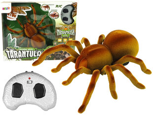 Lean toys Kaugjuhtimispuldiga Spider Tarantula Infrared Brown R/C hind ja info | Arendavad laste mänguasjad | hansapost.ee