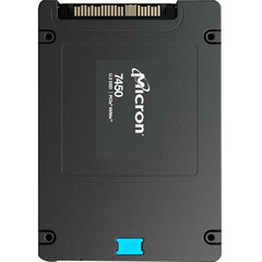 Micron 7450 MAX, 3200GB (MTFDKCB3T2TFS-1BC1ZABYYR) цена и информация | Внутренние жёсткие диски (HDD, SSD, Hybrid) | hansapost.ee