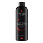 Autošampoon - FRESSO Shampoo Premium 500ml hind ja info | Autokeemia | hansapost.ee