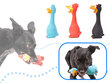 Koera mänguasi, kummist part 12715 цена и информация | Koerte mänguasjad | hansapost.ee