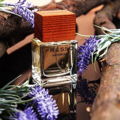 Fresso Magnetic Style perfumery цена и информация | Освежители воздуха для салона автомобиля | hansapost.ee