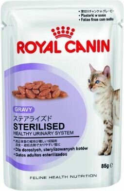 Royal Canin Fhn Wet 85g x 12 steriliseeritud kassidele hind ja info | Kassikonservid | hansapost.ee