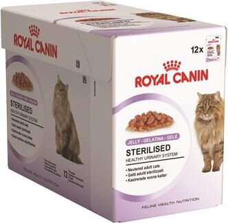 Royal Canin FHN WET 85g x 12 Täissööt täiskasvanud steriliseeritud ja kastreeritud kassidele hind ja info | Kassikonservid | hansapost.ee