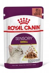 Royal Canin Sensory Smell Gravy konserv kassidele, 12 x 85 g hind ja info | Kassikonservid | hansapost.ee