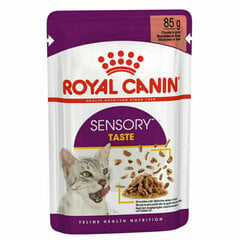 Royal Canin Sensory Taste Gravy konserv kassidele, 12 x 85 g hind ja info | Kassikonservid | hansapost.ee