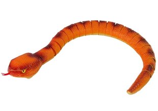 Интерактивная змея анаконда 70 см R/C, оранжевая цена и информация | Игрушки для мальчиков | hansapost.ee