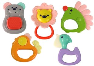 Hola Kõristi 5 värvilist osa price and information | Toys for babies | hansapost.ee