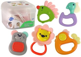 Hola Kõristi 5 värvilist osa price and information | Toys for babies | hansapost.ee