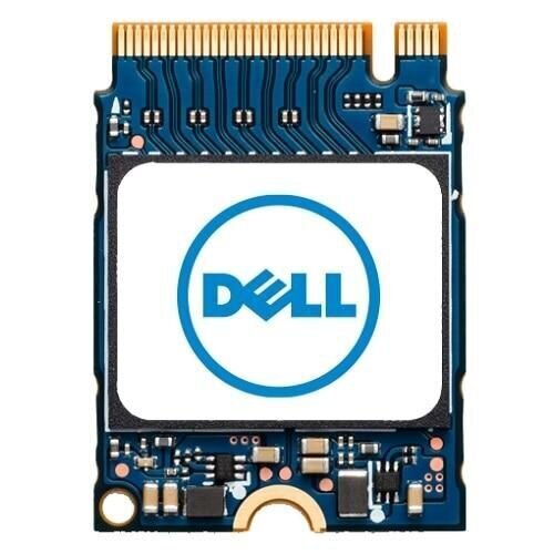 Dell AB673817, 1TB hind ja info | Sisemised kõvakettad | hansapost.ee