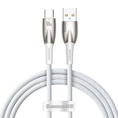 USB-кабель для USB-C Baseus Glimmer Series, 100 Вт, 1 м (белый) цена и информация | Кабели для телефонов | hansapost.ee