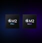 16-inch MacBook Pro: Apple M2 Pro chip with 12‑core CPU and 19‑core GPU, 1TB SSD - Space Grey MNW93RU/A цена и информация | Sülearvutid | hansapost.ee