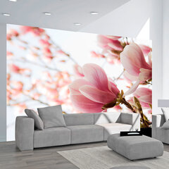 Fototapeet - Pink magnolia цена и информация | Фотообои | hansapost.ee