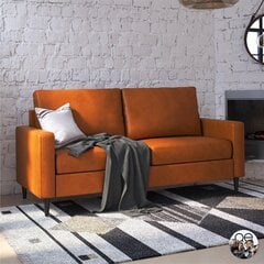 Diivan Queer Eye Wainwright, pruun price and information | Sofa beds and sofas | hansapost.ee